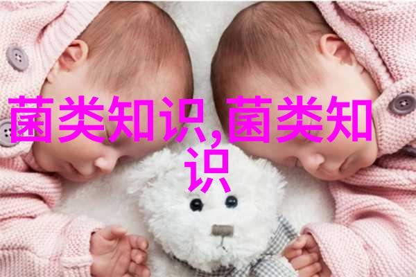 羊肚菌播种前怎么准备