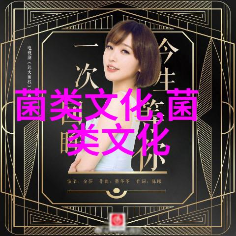 百搭的杏鲍菇