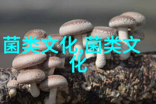 酬酢宴饮尚时鲜明清时代的菌菜