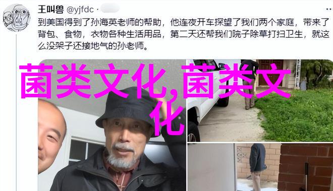 蘑菇的回忆