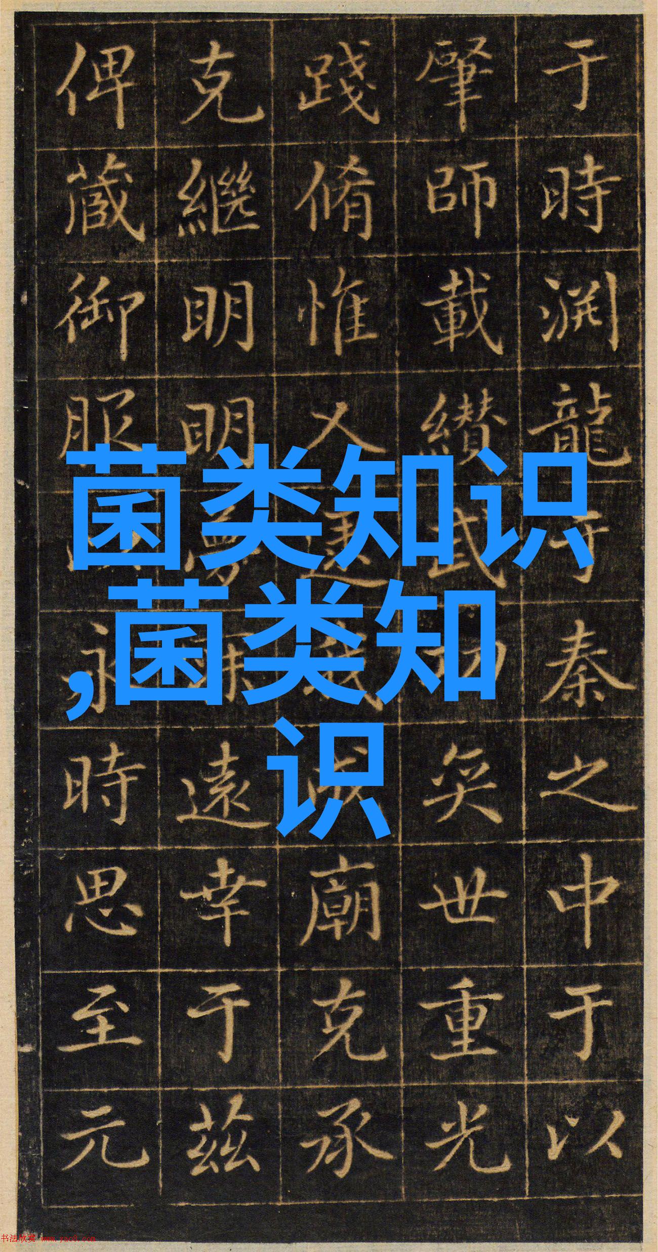 桑黄种植管理技术