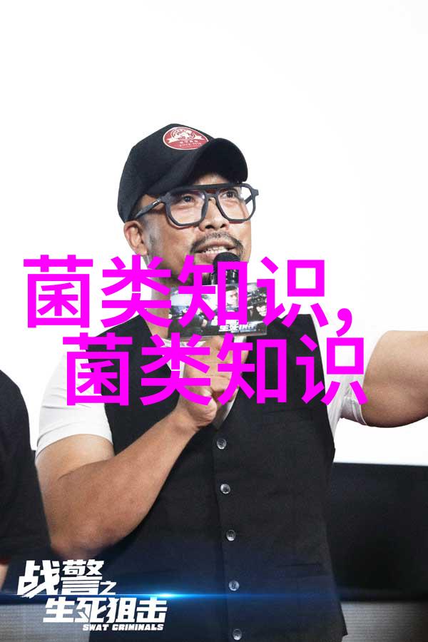 林下大球盖菇种植技术要点