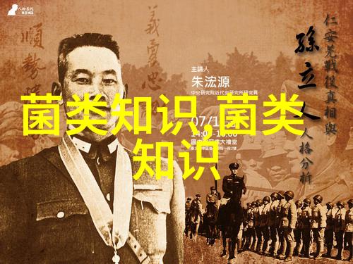 寒潮天气下香菇生产六大注意事项