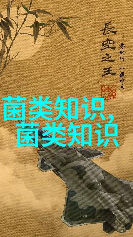 大球盖菇干品加工技术