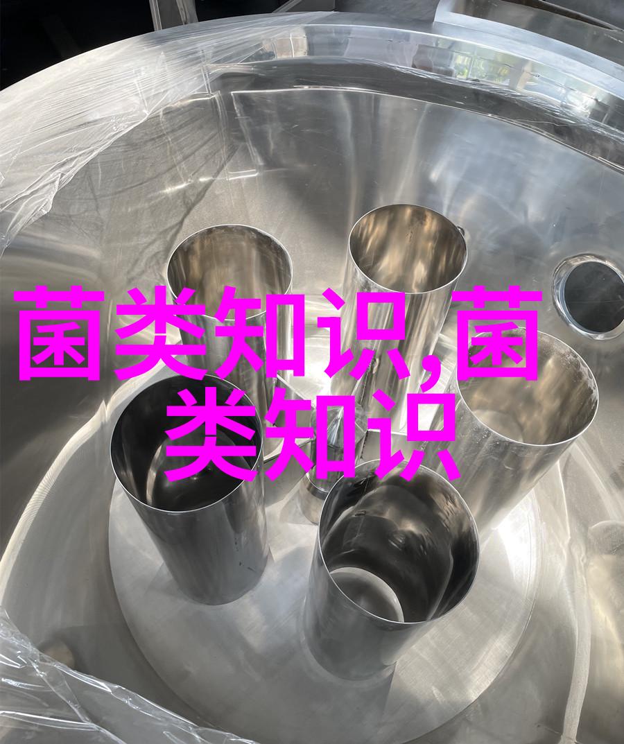 茯苓如何采收与加工
