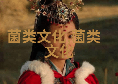 黑木耳怎么吃最养生
