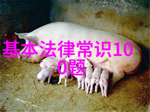 河南省汝州市特色金融服务圆了种植户香菇梦
