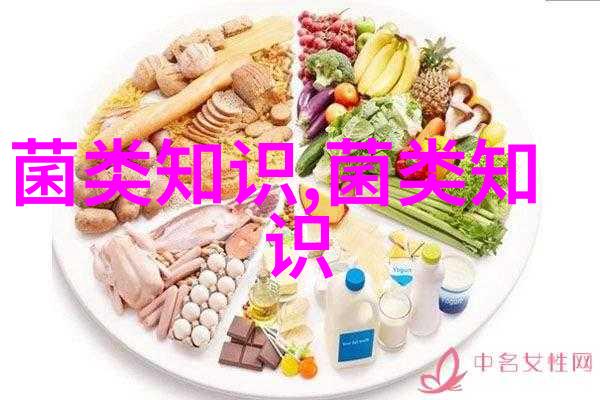 如何确定双孢菇的播种期和播种量