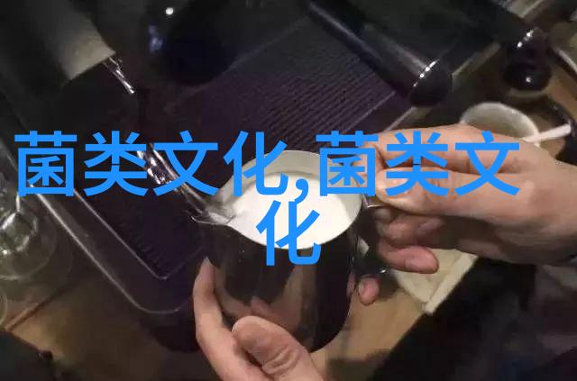 蘑菇课菌香秘语