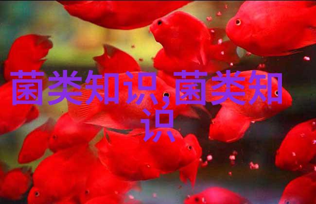 用棉仁含量高的棉籽壳栽培平菇会影响菌丝生长