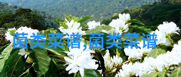 600万援疆资金打造菌界冷库 千吨鲜菇锁住致富密码