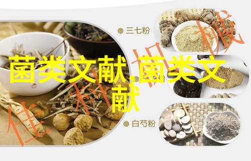 13个滑菇菌株栽培对比试验