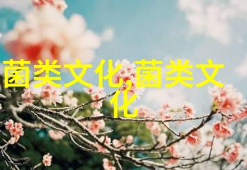 蘑菇的故事
