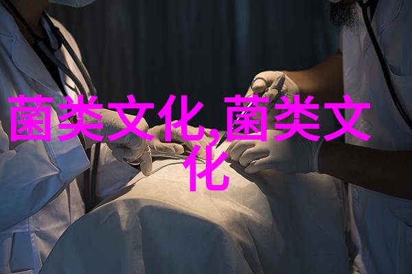 香菇与朱元璋的故事