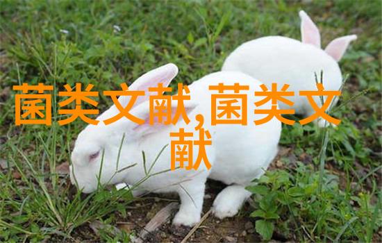 菌棒断植 平菇增产