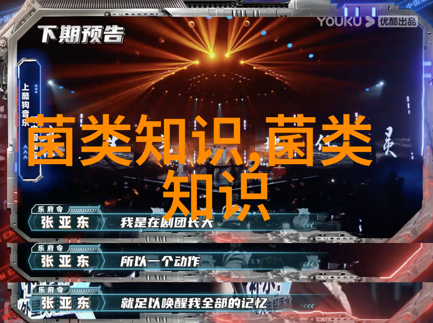 寒潮速冻天气下食用菌生产管理技术要点
