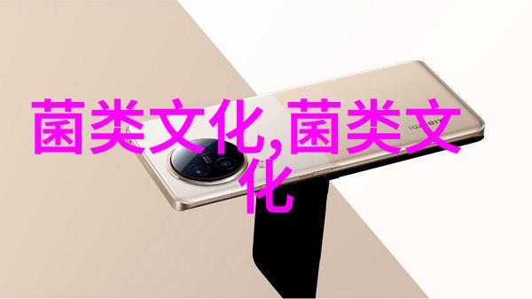 鸡枞 童年的记忆和味道