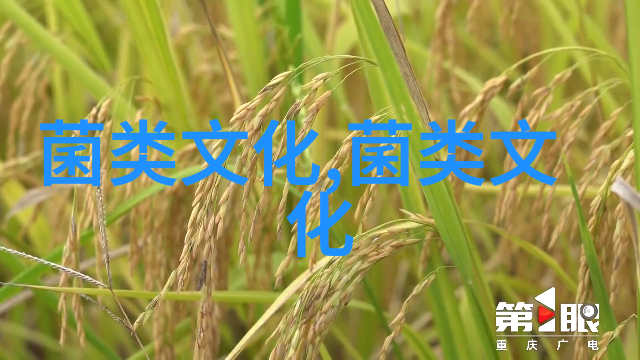 鲁迅与猴头菇