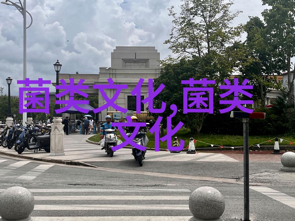 食香菇能预防多种疾病 保健延年