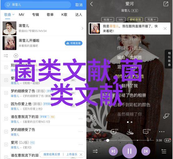两个灵芝菌株特性比较研究